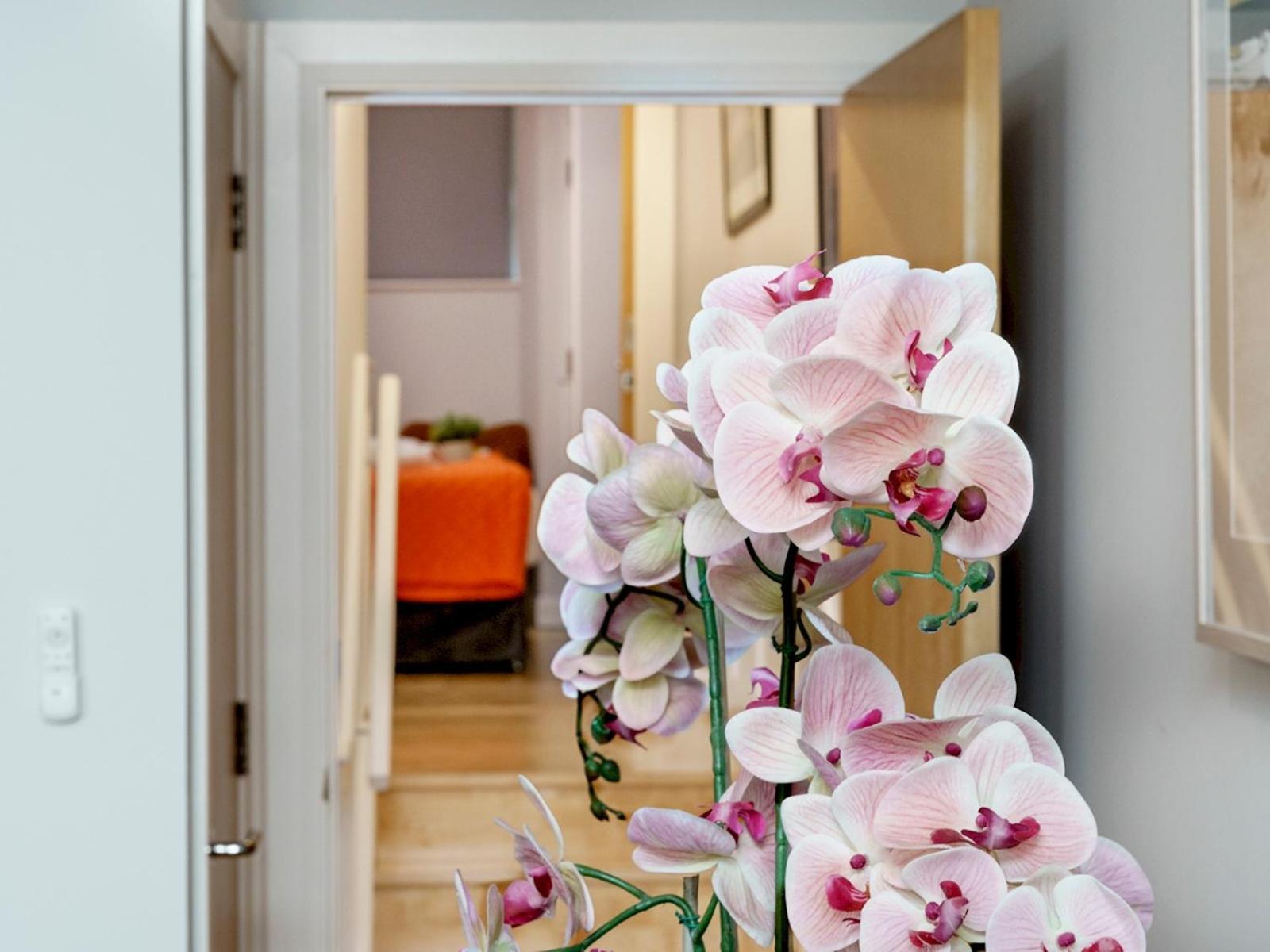 The Linen Mill Apartment Pass The Keys Belfast Esterno foto